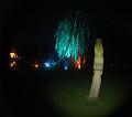 T-20151004-200114_IMG_7151-5a a